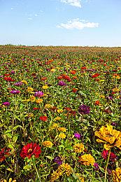 《星空》“破碎空间”扩展包9分钟深度预览视频